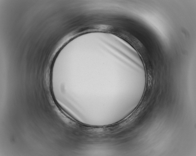 X0000111181054200907221044