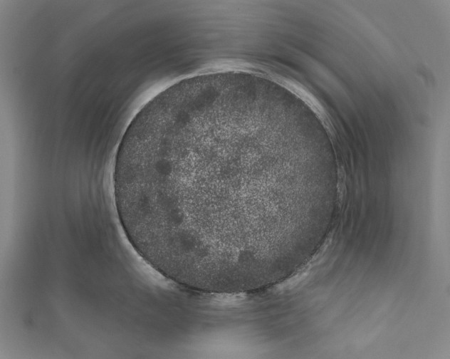 X0000111181055200907221044