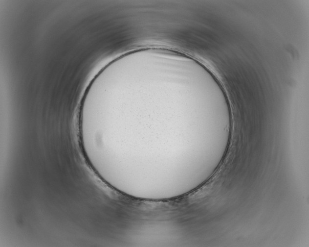 X0000111181056200907221044