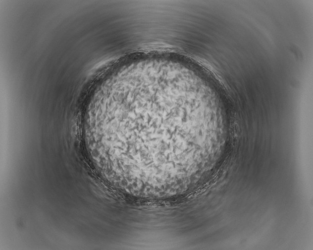 X0000111181063200907221044