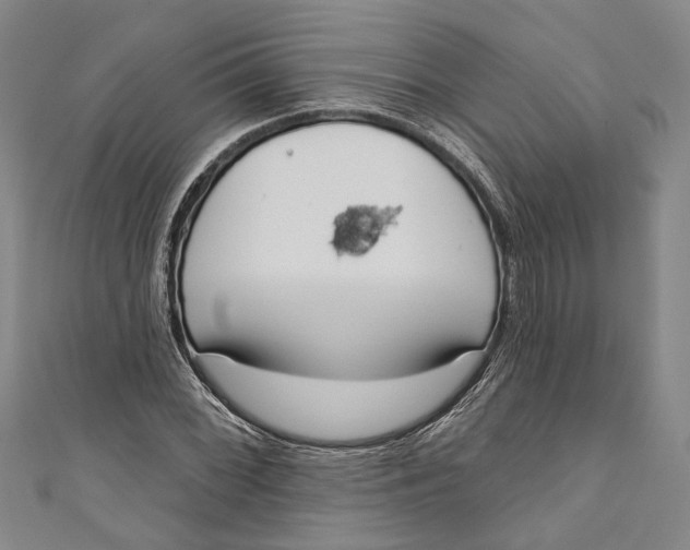 X0000111181068200907221044