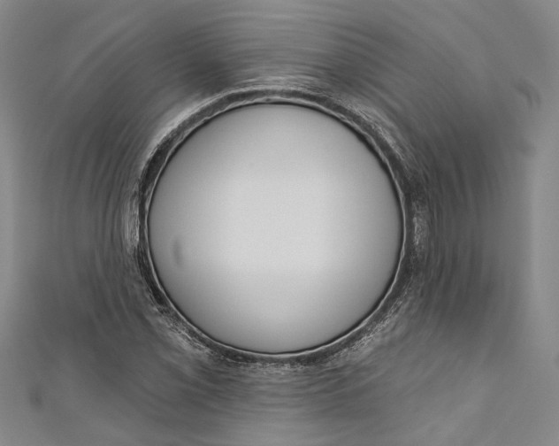 X0000111181069200907221044