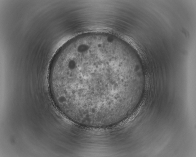 X0000111181071200907221044