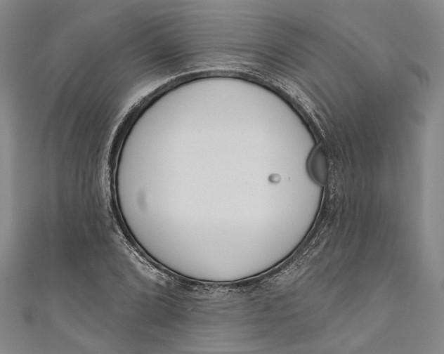 X0000111181072200907221043