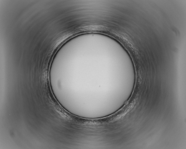 X0000111181073200907221043