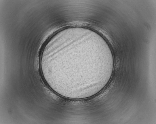 X0000111181075200907221043