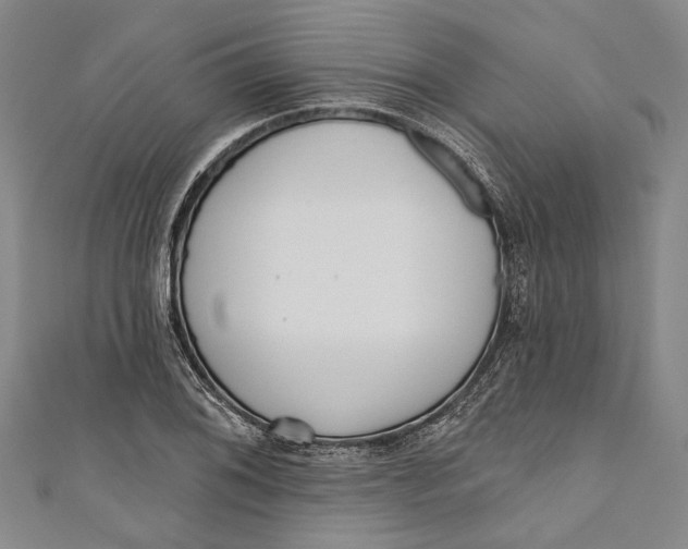 X0000111181076200907221043