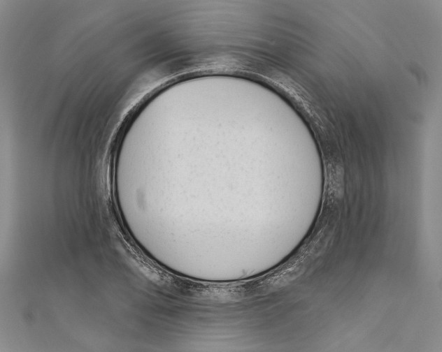 X0000111181078200907221043