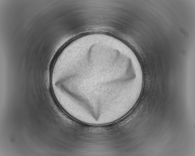 X0000111181079200907221043