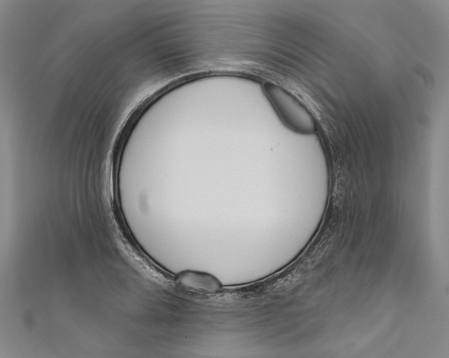 X0000111181080200907221043