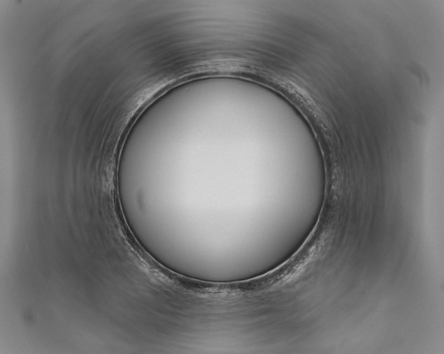 X0000111181081200907221043