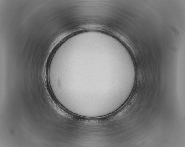 X0000111181082200907221043