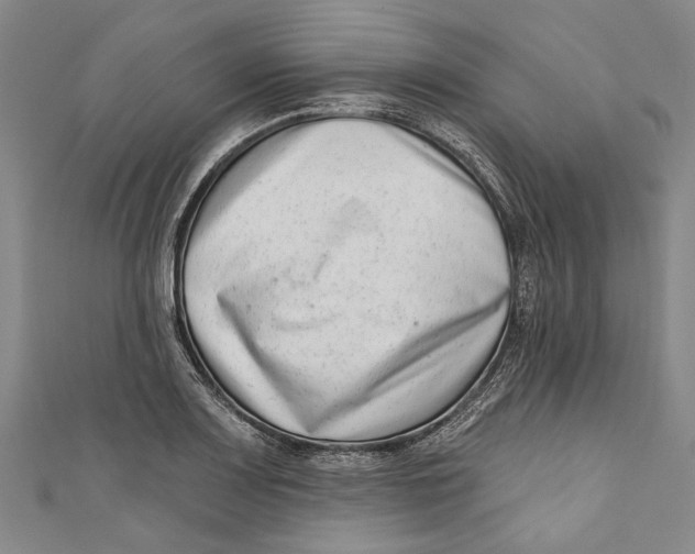 X0000111181083200907221043