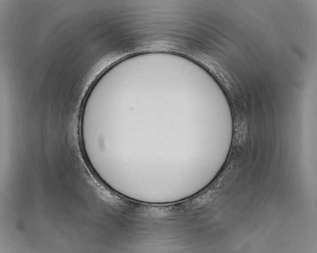 X0000111181086200907221043