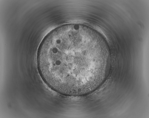 X0000111181087200907221043