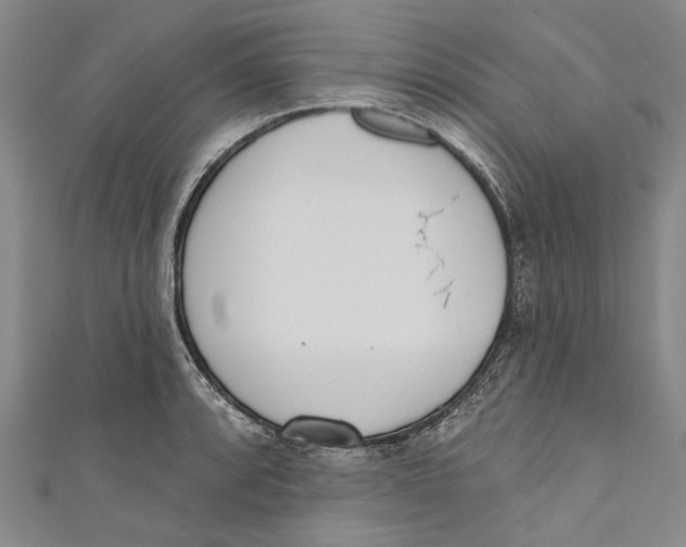 X0000111181088200907221043