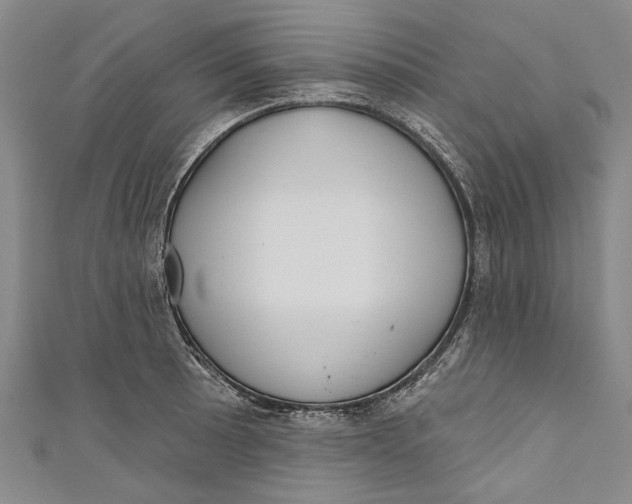 X0000111181089200907221043