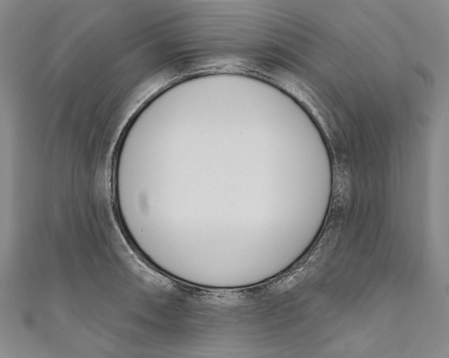 X0000111181090200907221043