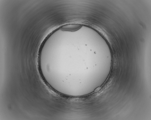 X0000111181093200907221043