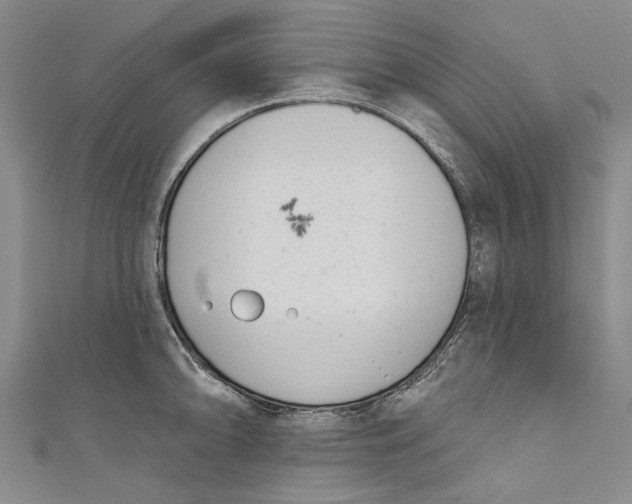 X0000111181094200907221043