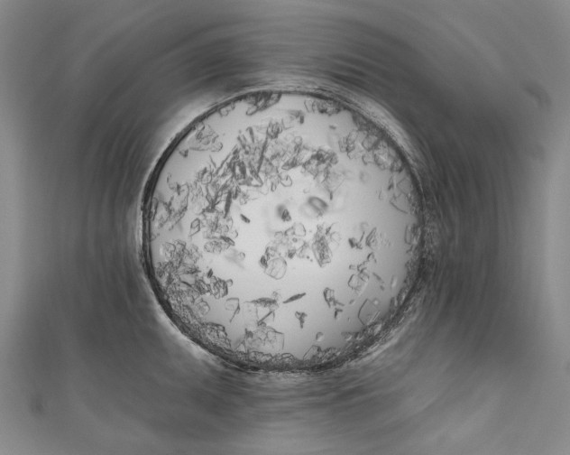 X0000111181095200907221043