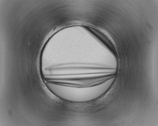 X0000111181098200907221043