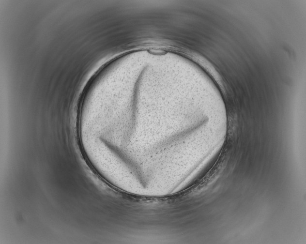 X0000111181099200907221043