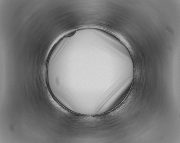 X0000111181100200907221043