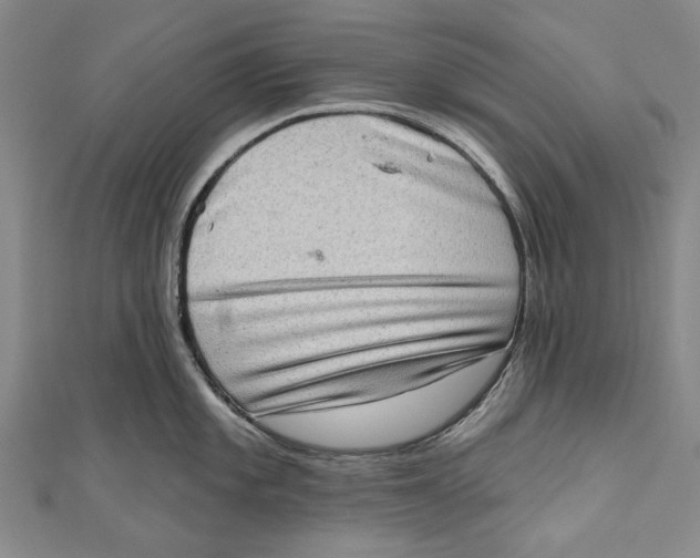 X0000111181101200907221043