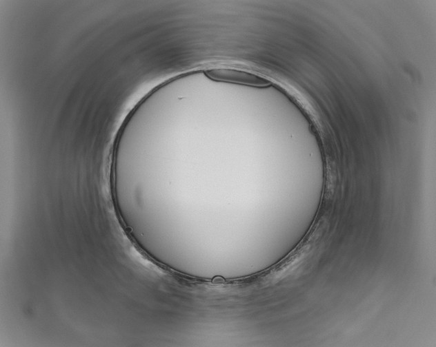 X0000111181102200907221043