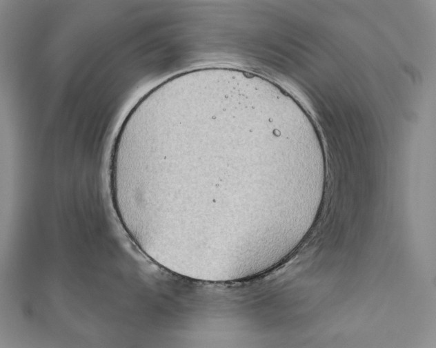 X0000111181104200907221043