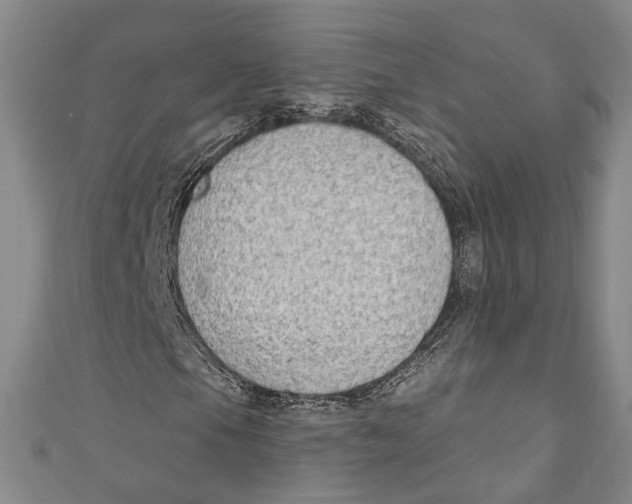 X0000111181105200907221042