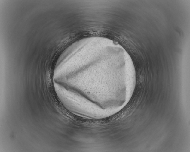 X0000111181106200907221042