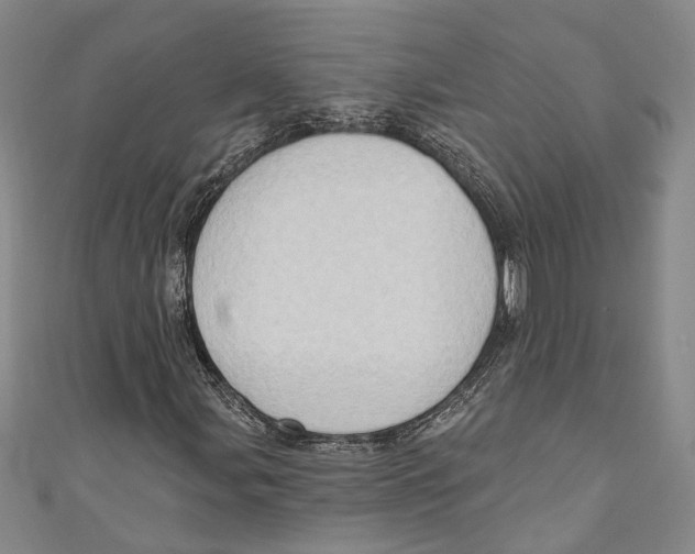 X0000111181107200907221042