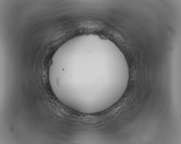 X0000111181109200907221043