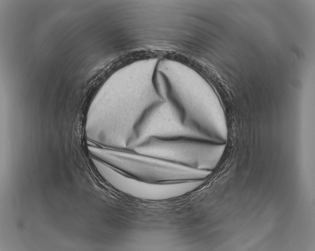 X0000111181110200907221043