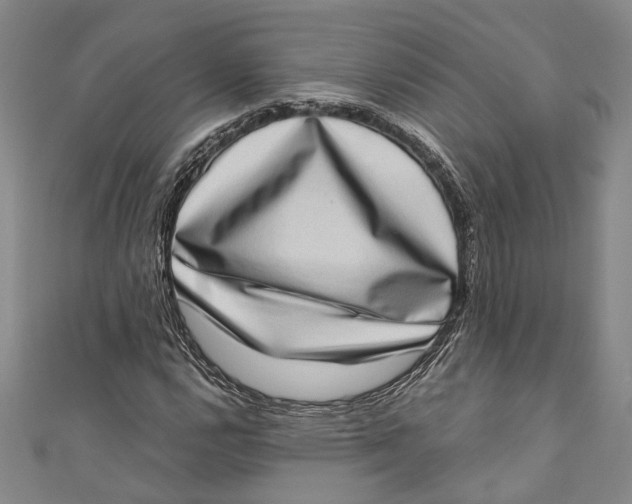 X0000111181112200907221043