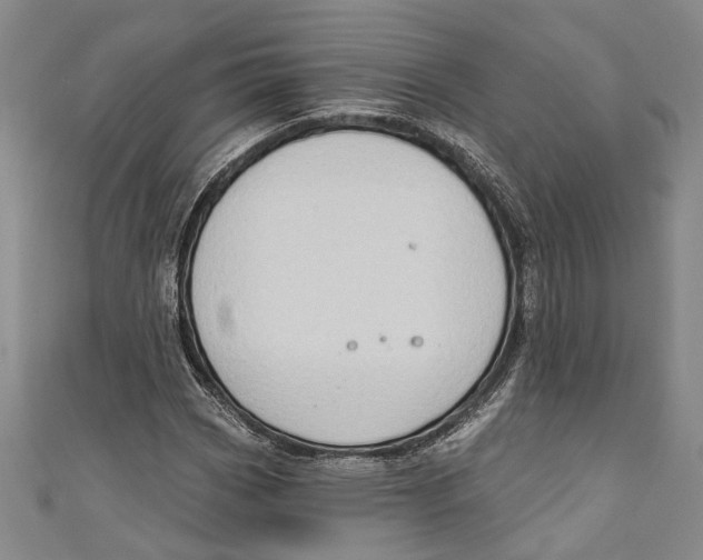 X0000111181113200907221043