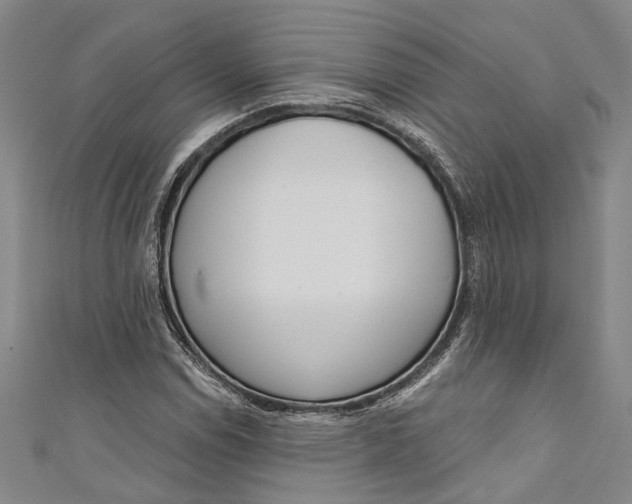 X0000111181114200907221043