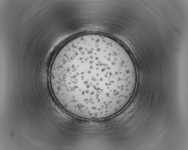 X0000111181115200907221043