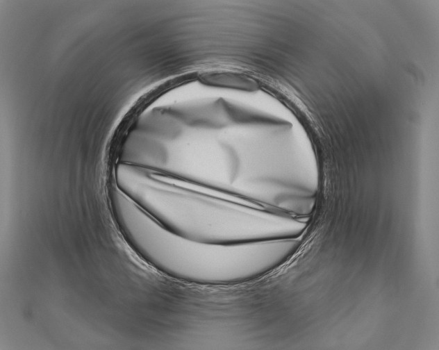 X0000111181116200907221043