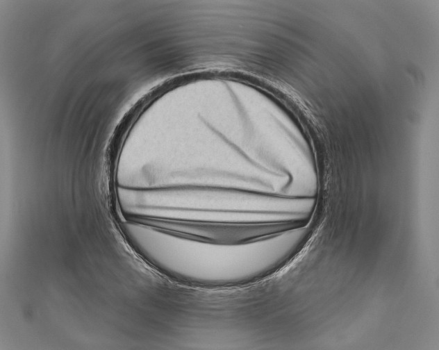 X0000111181118200907221043