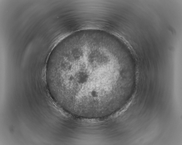 X0000111181121200907221043