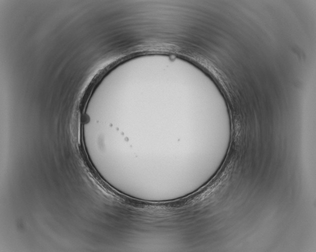 X0000111181123200907221043