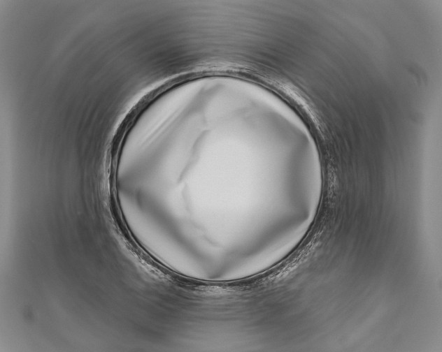 X0000111181124200907221043