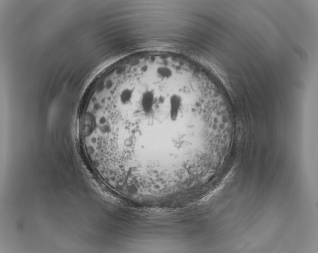 X0000111181125200907221043