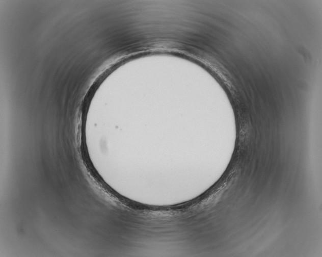 X0000111181126200907221043