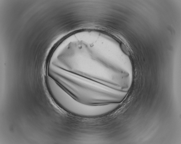 X0000111181128200907221043