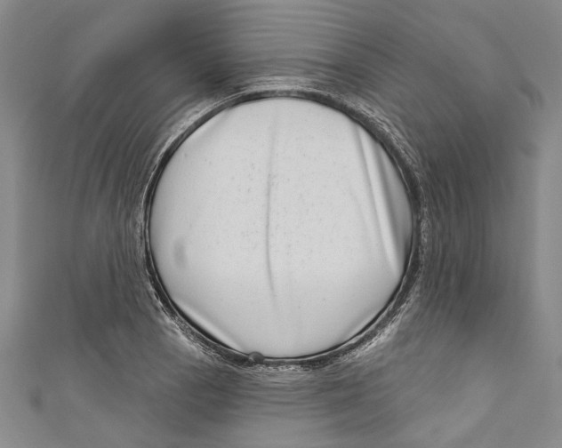 X0000111181129200907221043