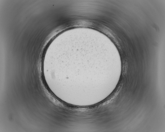 X0000111181130200907221043